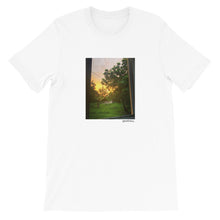 Load image into Gallery viewer, Land T-Shirt